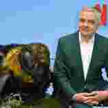 What to expect from Rowan Atkinson's new series Man vs Bee