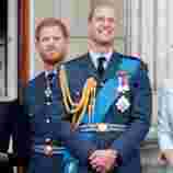 Prince Harry: A Possibility of a Royal reunion
