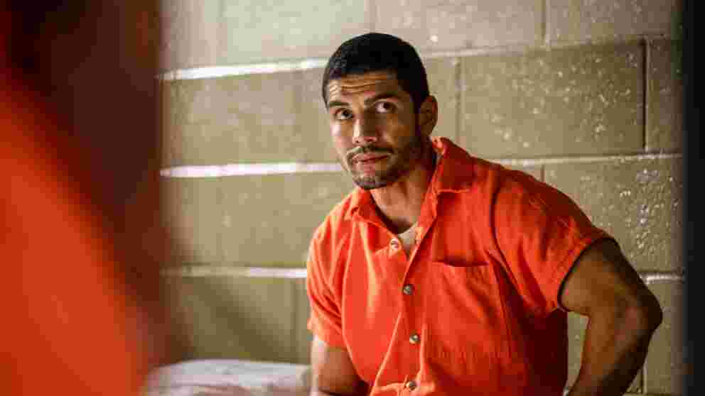 Channel 4 launching wild reality TV show which imprisons celebrities