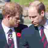 Prince William and Harry's relationship still struggling as they didn't meet for Queen's death anniversary